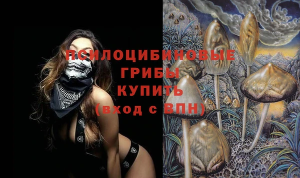 соль курить ск Новозыбков