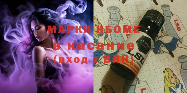 сатива Алексеевка