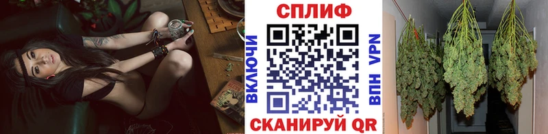 Марихуана ГИДРОПОН  KRAKEN   Санкт-Петербург 